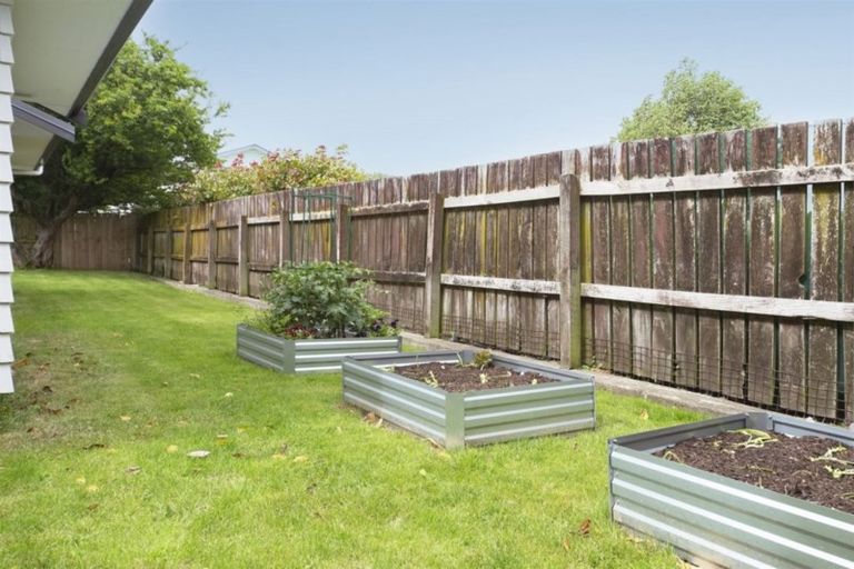 Photo of property in 9a Wellington Street, Feilding, 4702