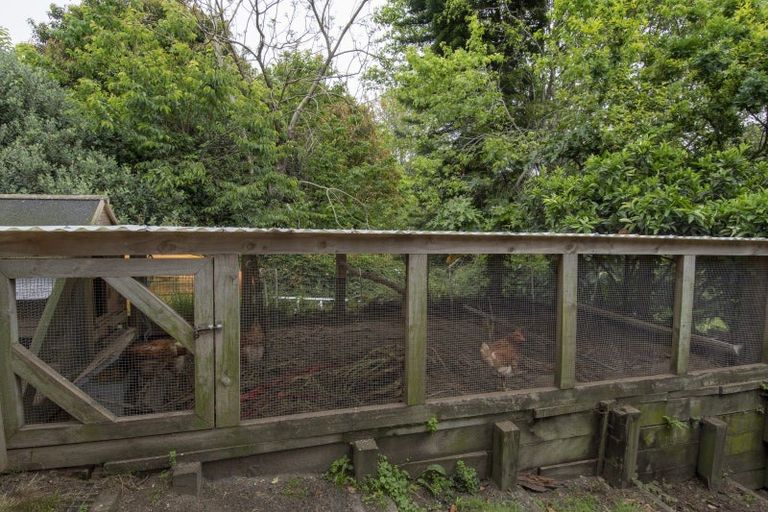 Photo of property in 92 Darraghs Road, Brookfield, Tauranga, 3110