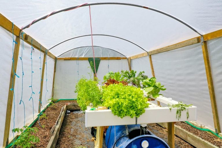 Photo of property in 96 Macdonald Road, Te Teko, Whakatane, 3192