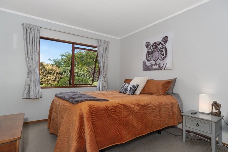 Photo of property in 473 Old Highway, Whakamarama, Tauranga, 3180