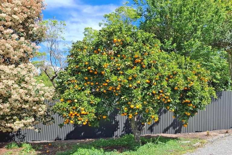 Photo of property in 14 Manuka Street, Lansdowne, Masterton, 5810