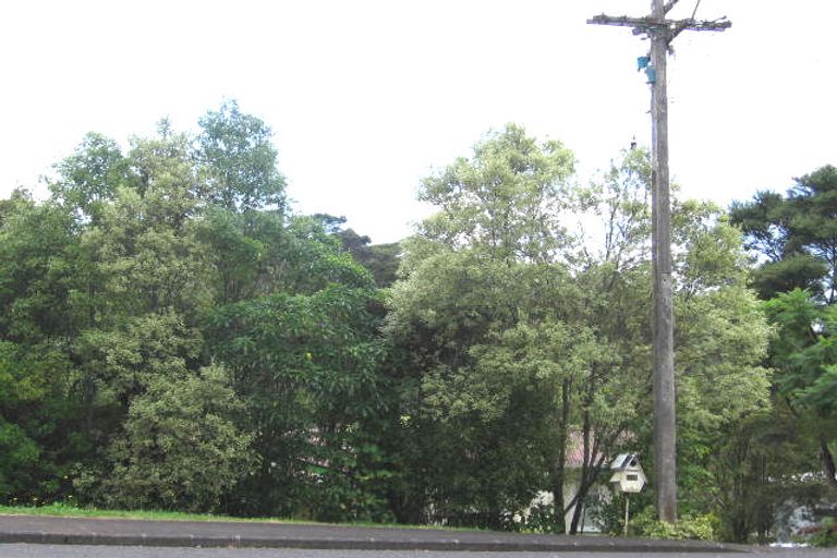 Photo of property in 105 Wood Bay Road, Titirangi, Auckland, 0604