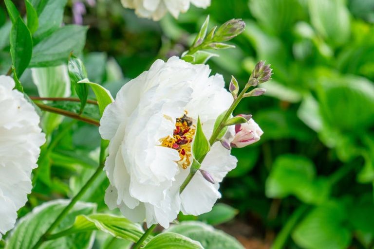 Photo of property in 23 Sefton Street, Seaview, Timaru, 7910