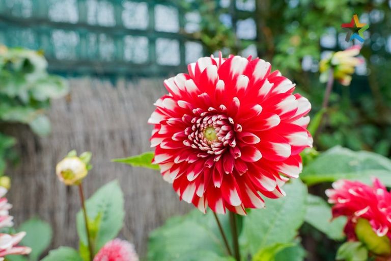 Photo of property in 694 Tweed Street, Newfield, Invercargill, 9812