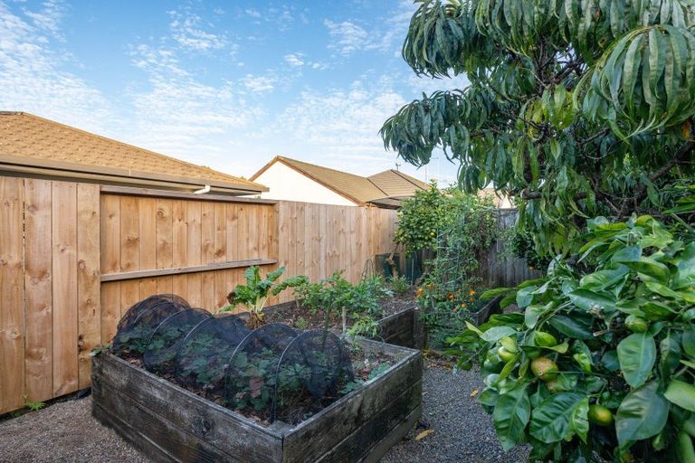 Photo of property in 3 Logan Court, Chartwell, Hamilton, 3210