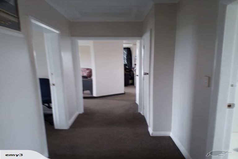 Photo of property in 81 Grey Street, Shannon, 4821