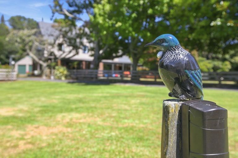 Photo of property in 17 Ridgewood Drive, Ridgewood, New Plymouth, 4371