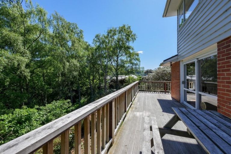 Photo of property in 53 Grey Street, North East Valley, Dunedin, 9010