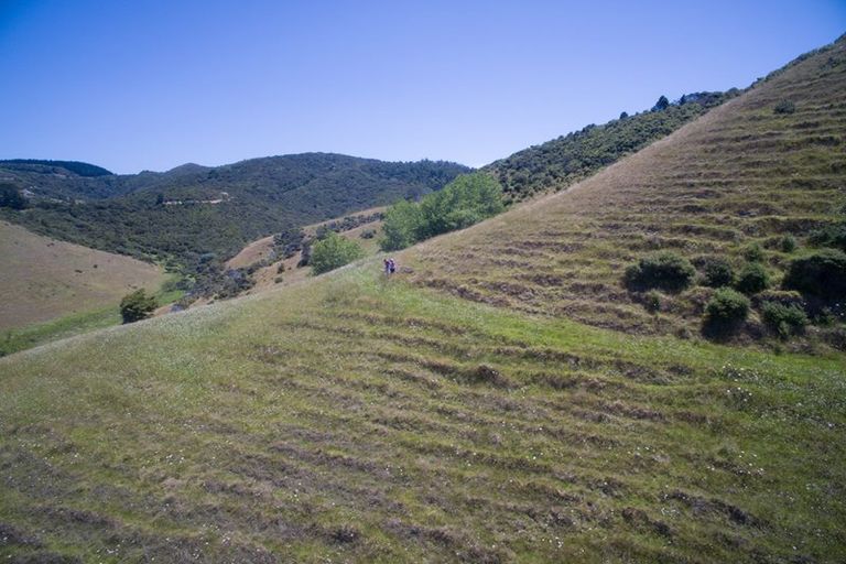 Photo of property in Rockell Road, Helena Bay, Hikurangi, 0184