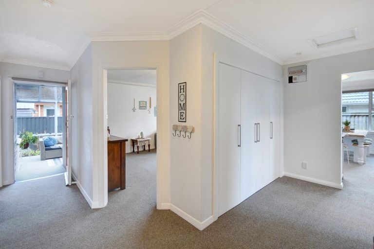 Photo of property in 141 Macandrew Road, South Dunedin, Dunedin, 9012