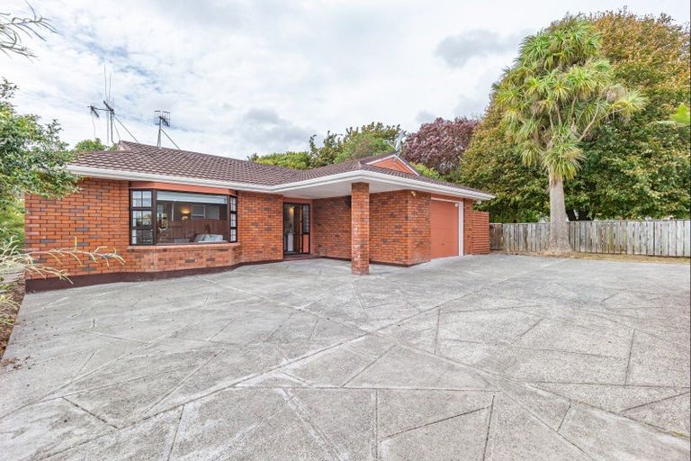 Photo of property in 161a Bath Street, Levin, 5510