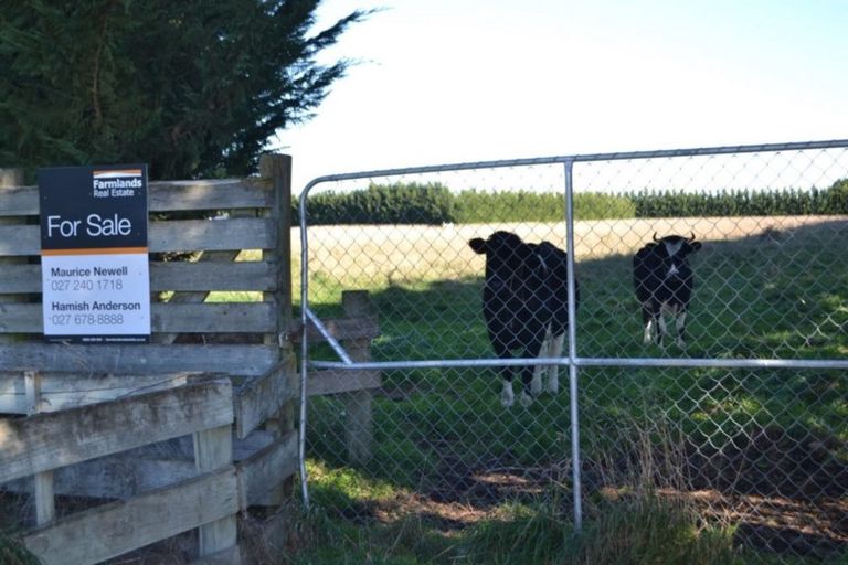 Photo of property in 639 Browns Rock Road, Burnt Hill, Oxford, 7495