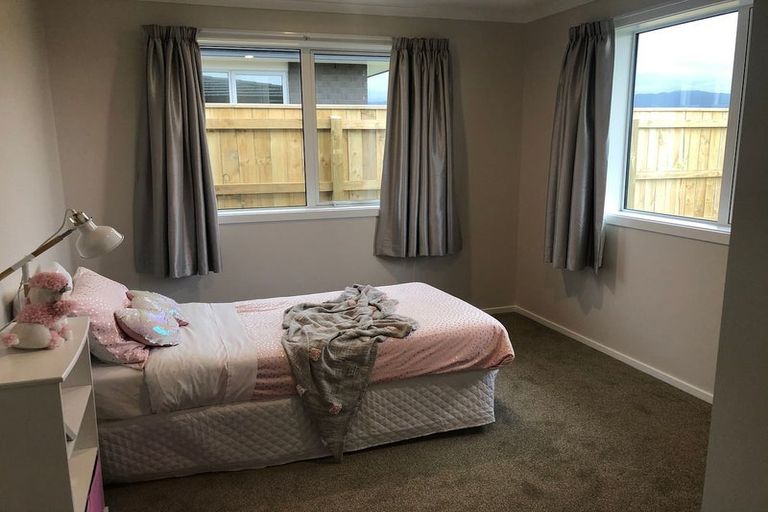 Photo of property in 87 Hinemoa Street, Levin, 5510