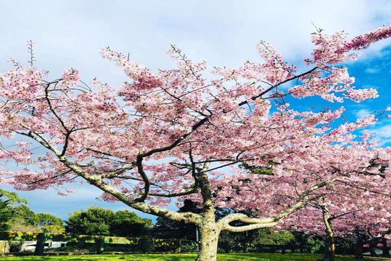 Photo of property in 35 Great North Road, Saint Johns Hill, Whanganui, 4501