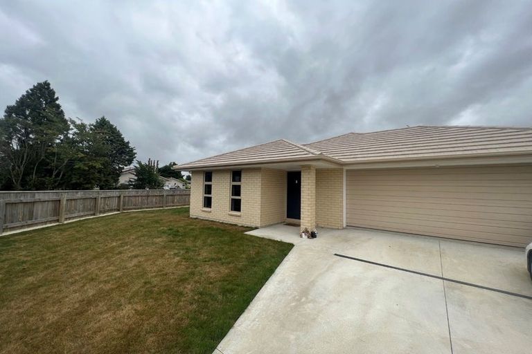 Photo of property in 77 Fairfield Road, Levin, 5510