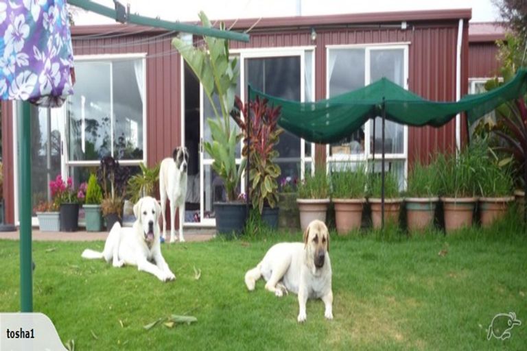 Photo of property in 484 Paparore Road, Paparore, Awanui, 0486