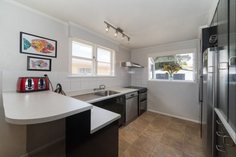 Photo of property in 32 Snowdon Avenue, Terrace End, Palmerston North, 4410