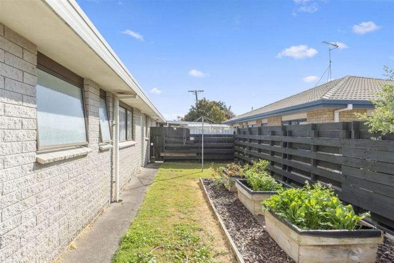 Photo of property in 122b Fourteenth Avenue, Tauranga South, Tauranga, 3112