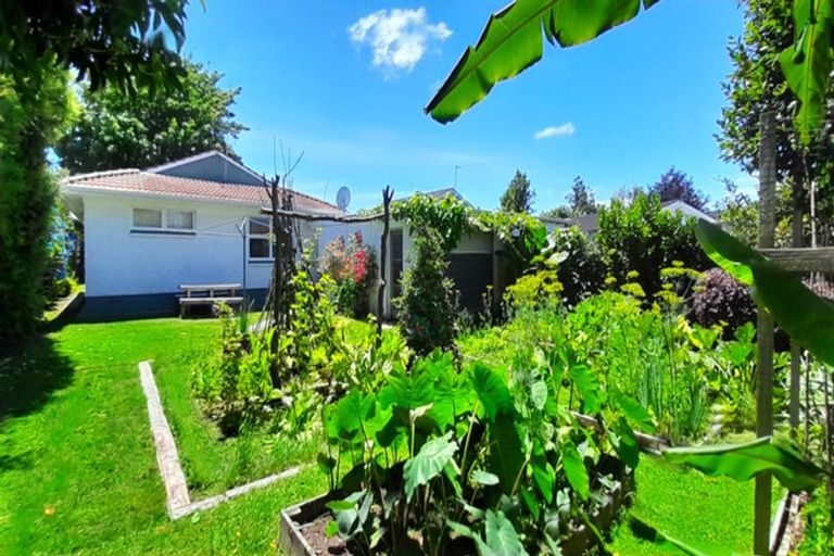 Photo of property in 272b Clyde Street, Hamilton East, Hamilton, 3216