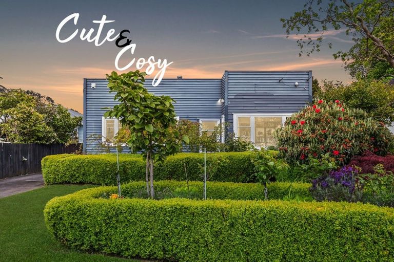 Photo of property in 12 Rimu Street, Wallaceville, Upper Hutt, 5018