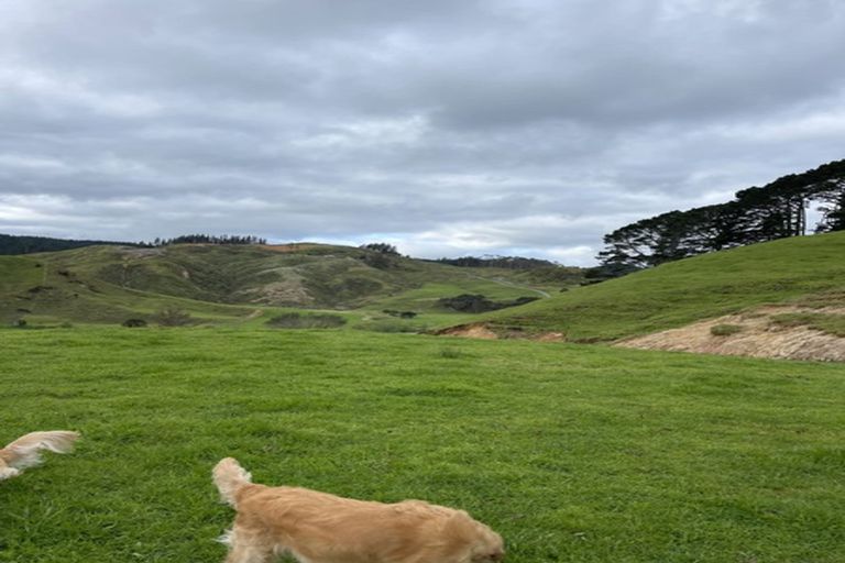 Photo of property in 287 Wentworth Valley Road, Whangamata, 3691