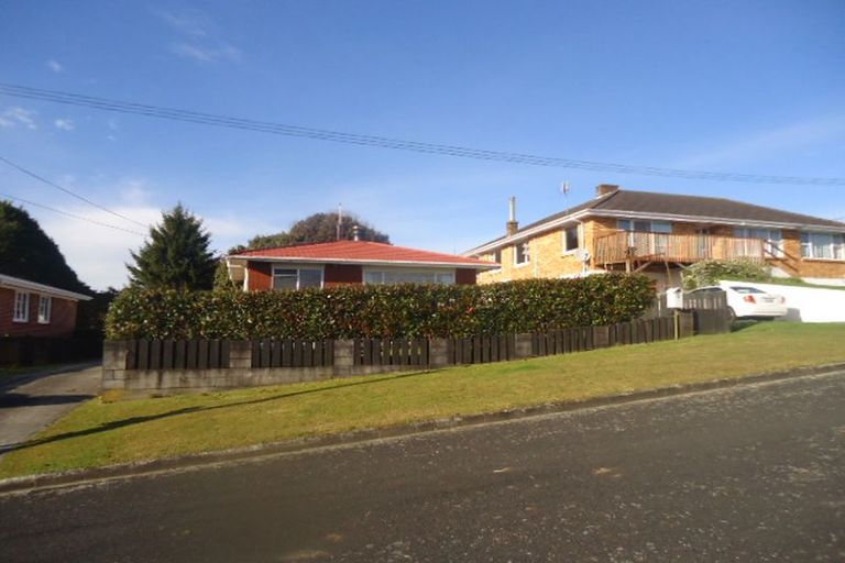 Photo of property in 17 Sholson Street, Putaruru, 3411