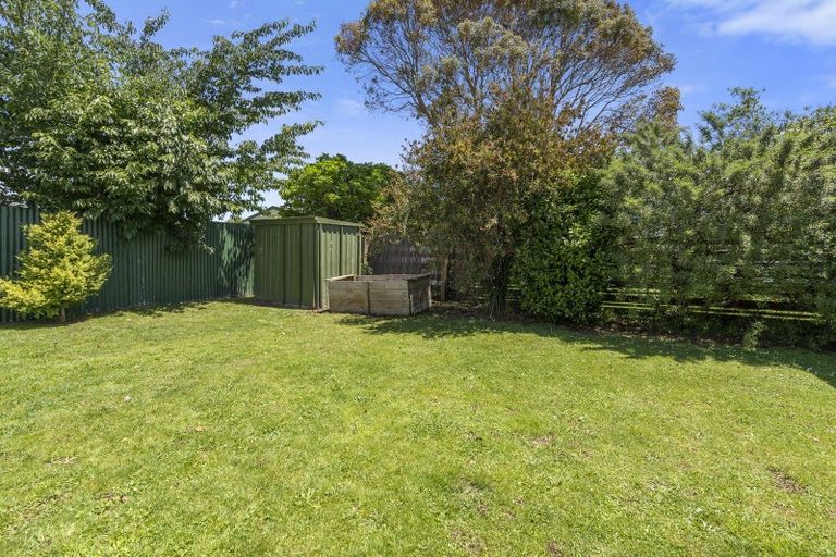 Photo of property in 7 Douglas Street, Levin, 5510