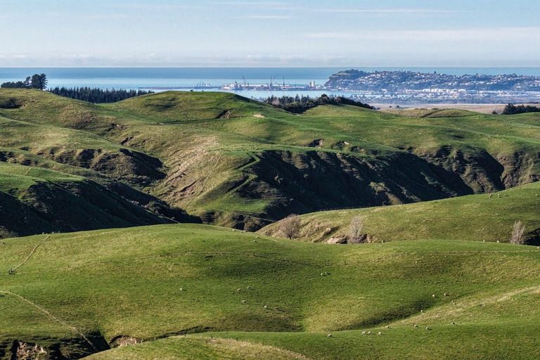 Photo of property in 717 Puketitiri Road, Puketapu, Napier, 4182
