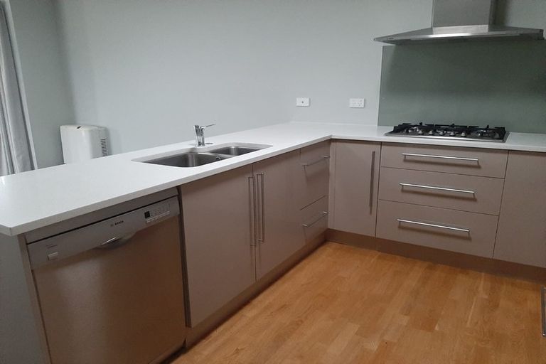 Photo of property in 32a Larch Crescent, Alexandra, 9320