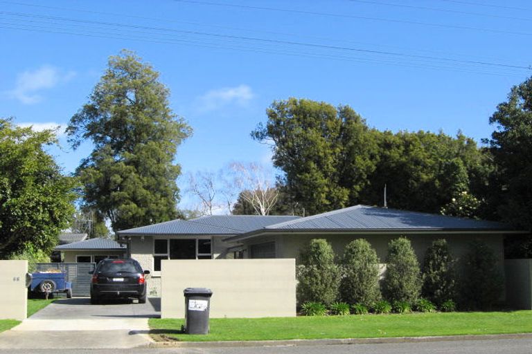 Photo of property in 66 Macarthur Street, Levin, 5510