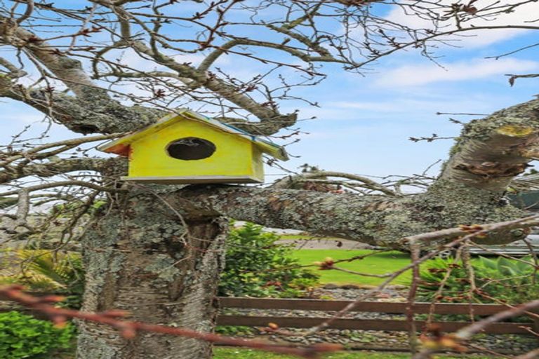 Photo of property in 108 Waikiekie Road, Thames, 3500