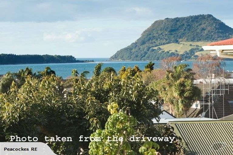Photo of property in 28a Norton Road, Otumoetai, Tauranga, 3110