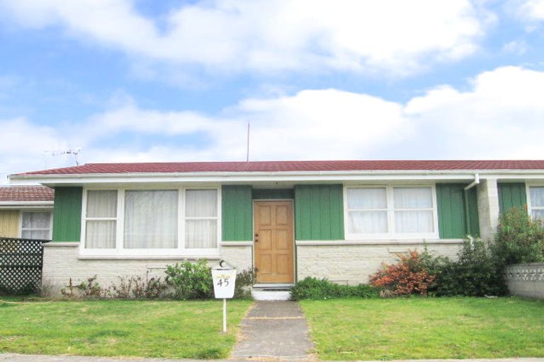 Photo of property in 45 Leicester Avenue, Tamatea, Napier, 4112