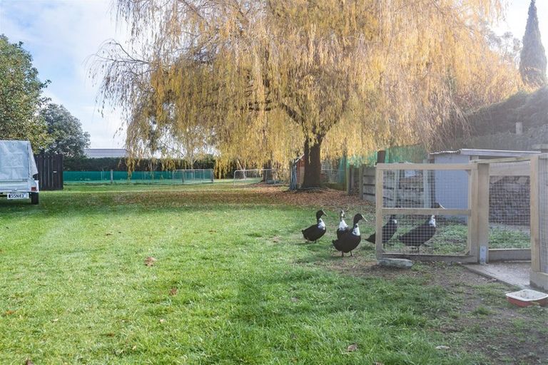 Photo of property in 101 Mchughs Road, Swannanoa, Kaiapoi, 7692