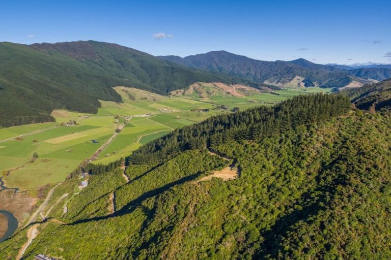 Photo of property in 167 Anakiwa Road, Anakiwa, Picton, 7281