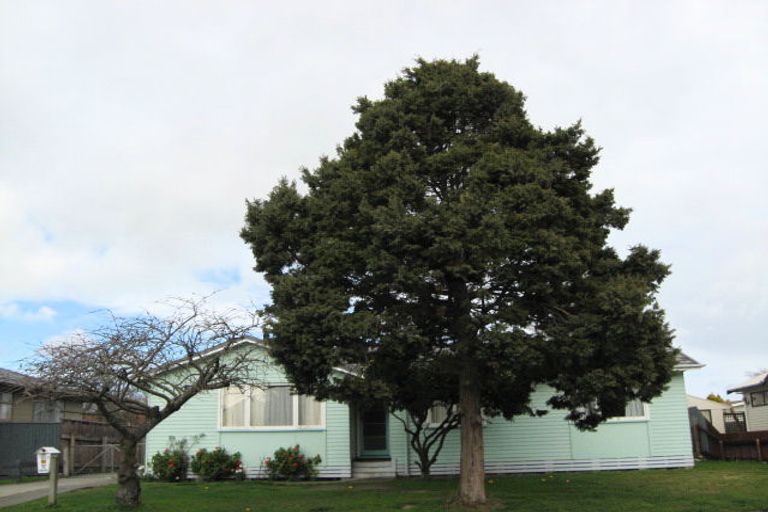 Photo of property in 37 Lipscombe Crescent, Havelock North, 4130