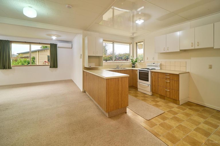 Photo of property in 23 Flatman Crescent, Geraldine, 7930