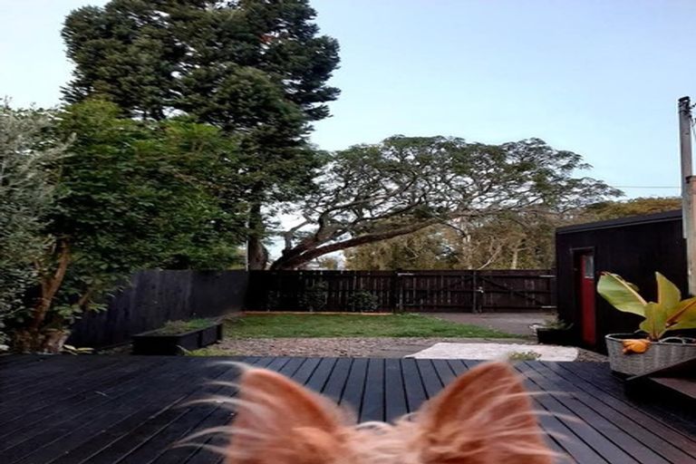 Photo of property in 2 Jutland Road, Pukekohe, 2120