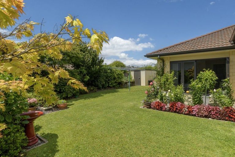Photo of property in 31 Condor Drive, Pyes Pa, Tauranga, 3112
