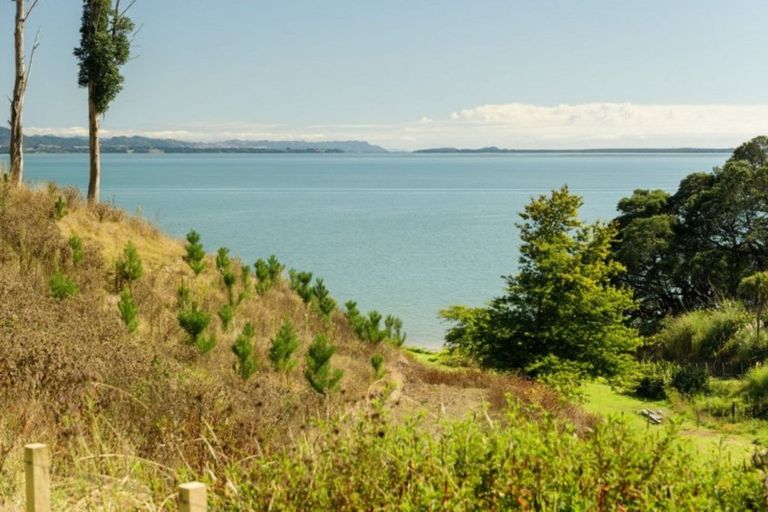 Photo of property in 331 Pahoia Road, Whakamarama, 3172