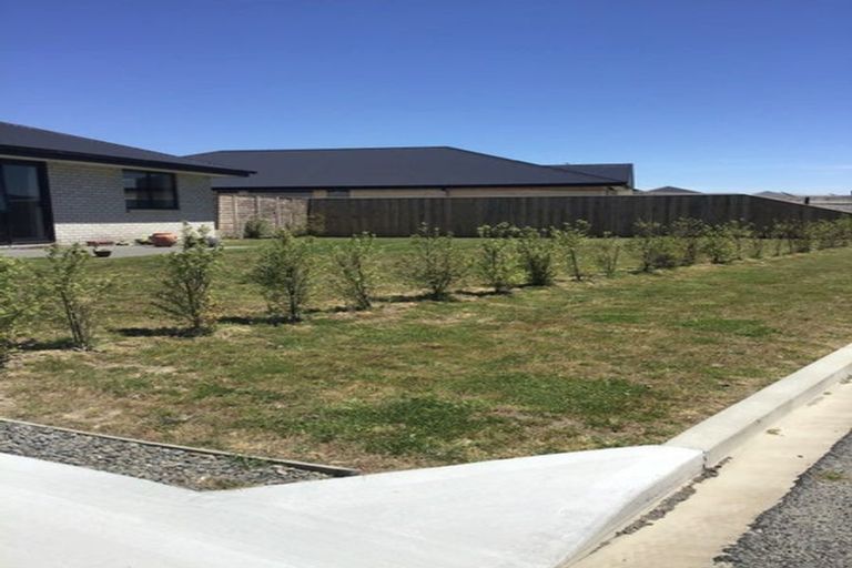 Photo of property in 31 Kingfisher Avenue, Amberley, 7410