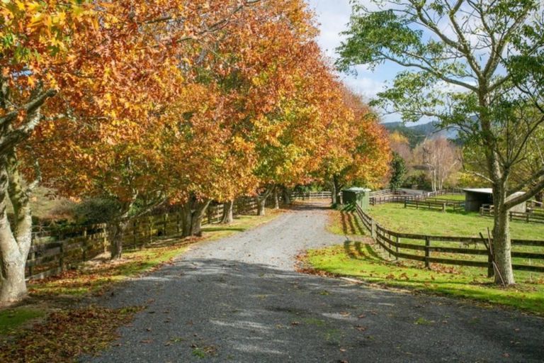 Photo of property in 17 Dunning Road, Karapiro, Cambridge, 3496