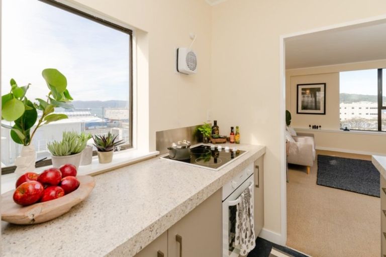 Photo of property in Hobson Court Flats, 55/70 Hobson Street, Thorndon, Wellington, 6011