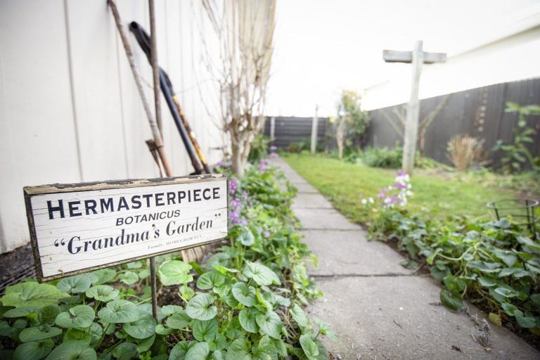 Photo of property in 34 Clarence Cox Crescent, Pirimai, Napier, 4112