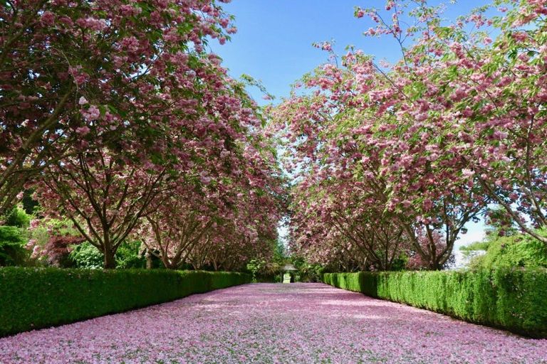 Photo of property in 201 Lochiel Branxholme Road, Lochiel, Winton, 9781