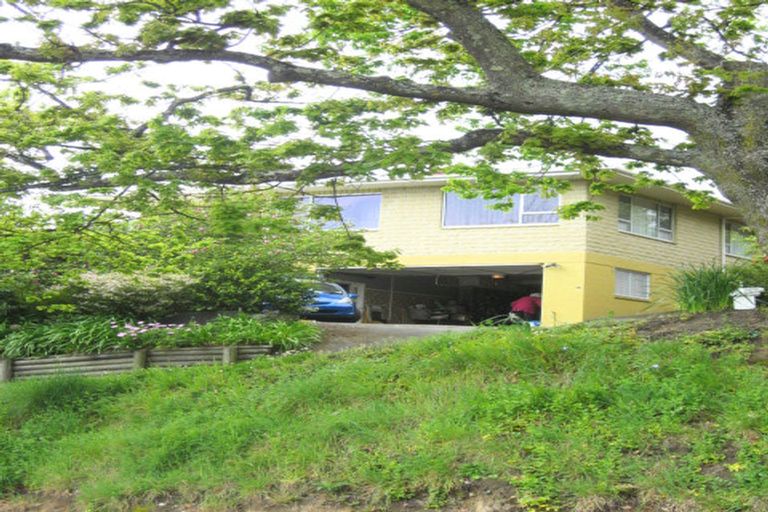 Photo of property in 45 Shelbourne Street, Nelson, 7010