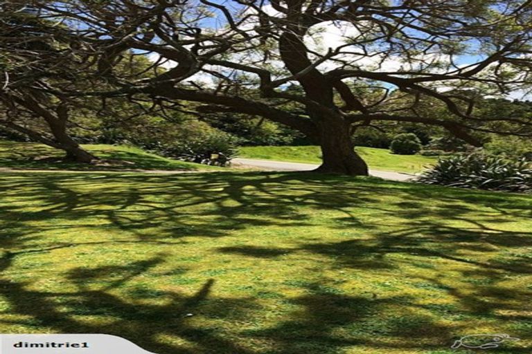 Photo of property in 6 Marriner Street, Kohukohu, 0491