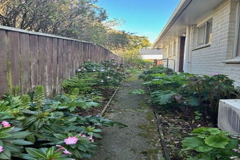 Photo of property in 48 Kings Crescent, Hutt Central, Lower Hutt, 5010