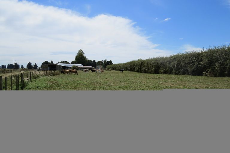 Photo of property in 181 Chamberlain Road, Te Awamutu, 3879