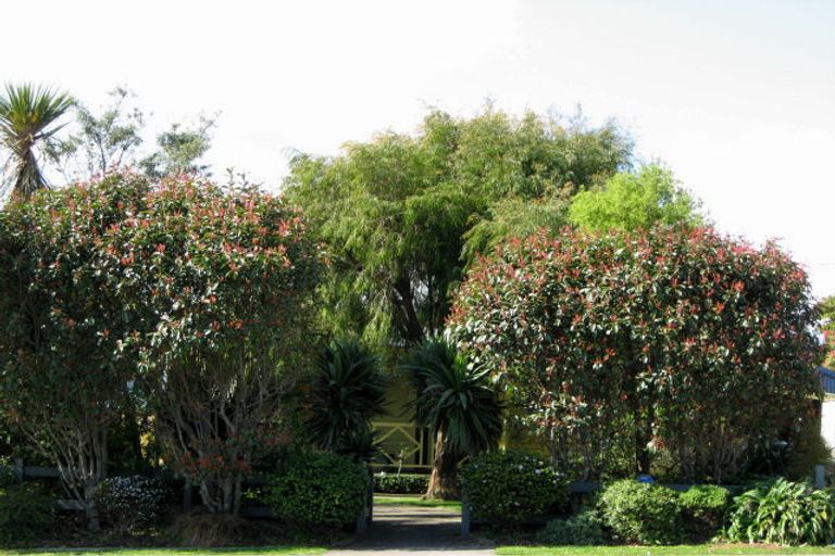 Photo of property in 36 David Street, Westown, New Plymouth, 4310